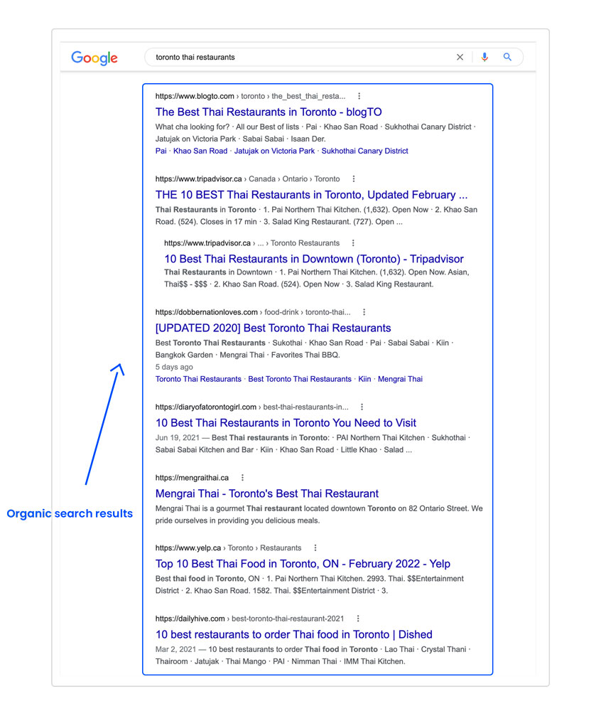 Google Local Search Results